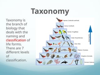 Taxonomy Powerpoint General Education ** | PPTX