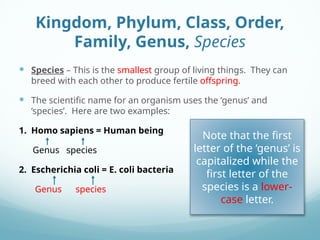 Taxonomy Powerpoint General Education ** | PPTX