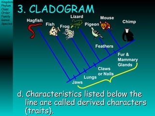 3. CLADOGRAM d. Characteristics listed below the line are called derived characters (traits).  Fur &  Mammary Glands Jaws Lungs Claws  or Nails Feathers Hagfish Fish Frog Lizard Pigeon Mouse Chimp 