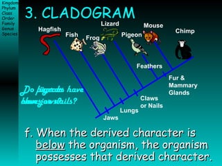3. CLADOGRAM f. When the derived character is  below  the organism, the organism possesses that derived character.  Do lizards have jaws? Do pigeons have claws or nails? Fur &  Mammary Glands Jaws Lungs Claws  or Nails Feathers Hagfish Fish Frog Lizard Pigeon Mouse Chimp 
