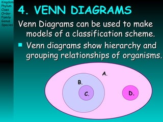 4. VENN DIAGRAMS Venn Diagrams can be used to make models of a classification scheme. Venn diagrams show hierarchy and grouping relationships of organisms. A . B . C . D. 
