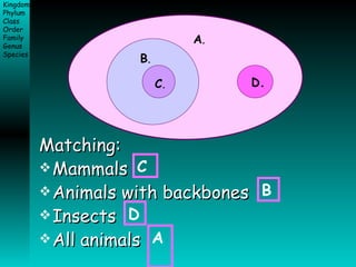 Matching: Mammals Animals with backbones Insects All animals C B D A  A . B . C . D. 