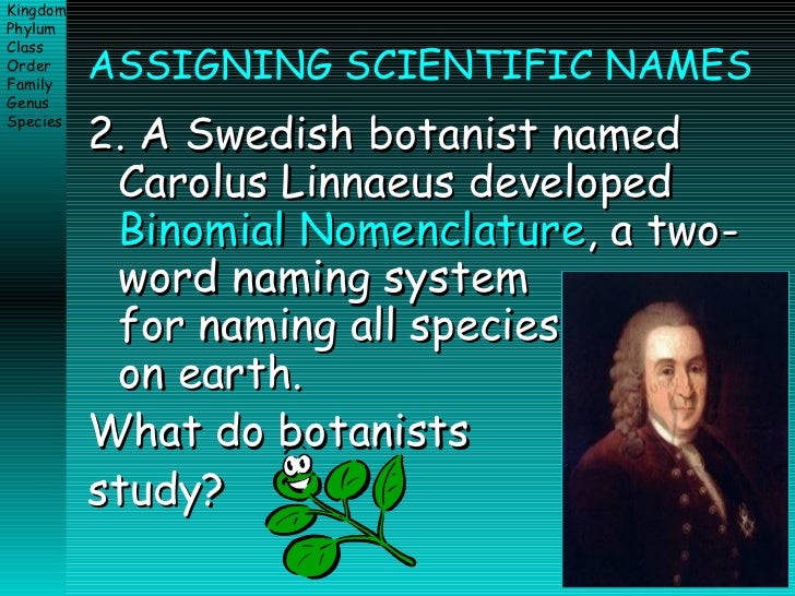 What is Linnaeus' two-word system for naming organisms called?