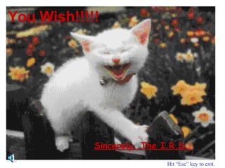 You Wish!!!!! Hit “Esc” key to exit. Sincerely, The I.R.S.