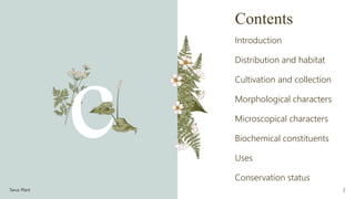 Contents
Introduction
Distribution and habitat
Cultivation and collection
Morphological characters
Microscopical characters
Biochemical constituents
Uses
Conservation status
Taxus Plant 2
 