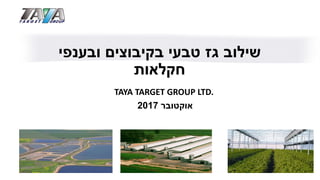 TAYA TARGET GROUP LTD.
‫אוקטובר‬2017
‫ובענפי‬ ‫בקיבוצים‬ ‫טבעי‬ ‫גז‬ ‫שילוב‬
‫חקלאות‬
 