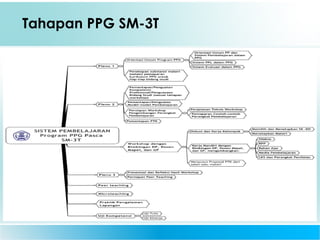 Tahapan PPG SM-3T
 
