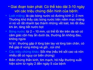 • Giai đoạn toàn phát: Có thể kéo dài 3-10 ngày
với các triệu chứng điển hình của bệnh:
• Loét miệng: là các bóng nước có đường kính 2 -3 mm
Thường khó thấy các bóng nước trên niêm mạc miệng
vì nó vở rất nhanh tạo thành những vết loét, trẻ rất đau
khi ăn, tăng tiết nước bọt
• Bóng nước: từ 2 – 10 mm, có thể lồi lên trên da sờ có
cảm giác cộn hay ẩn dưới da, thường ấn không đau,
không ngứa
Vị trí : thường gặp ở lòng bàn tay và lòng bàn chân, có
thể gặp ở vùng mông và gối , cùi chỏ
• Các triệu chứng khác: Sốt nhẹ (nếu trẻ sốt cao và nôn
nhiều dễ có nguy cơ biến chứng)
• Biến chứng thần kinh, tim mạch, hô hấp thường xuất
hiện sớm từ ngày 2 đến ngày 5 của bệnh
 