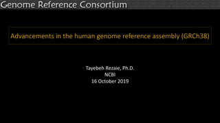 Advancements in the human genome reference assembly (GRCh38)
Tayebeh Rezaie, Ph.D.
NCBI
16 October 2019
 