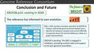 The future is
BRIGHT
Conclusion and Future
GRCh38.p14: coming in 2020
MGI, a GRC member, has been awarded by NHGRI to:
• P...