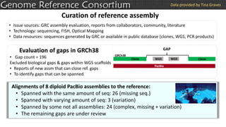 Curation of reference assembly
• Issue sources: GRC assembly evaluation, reports from collaborators, community, literature...