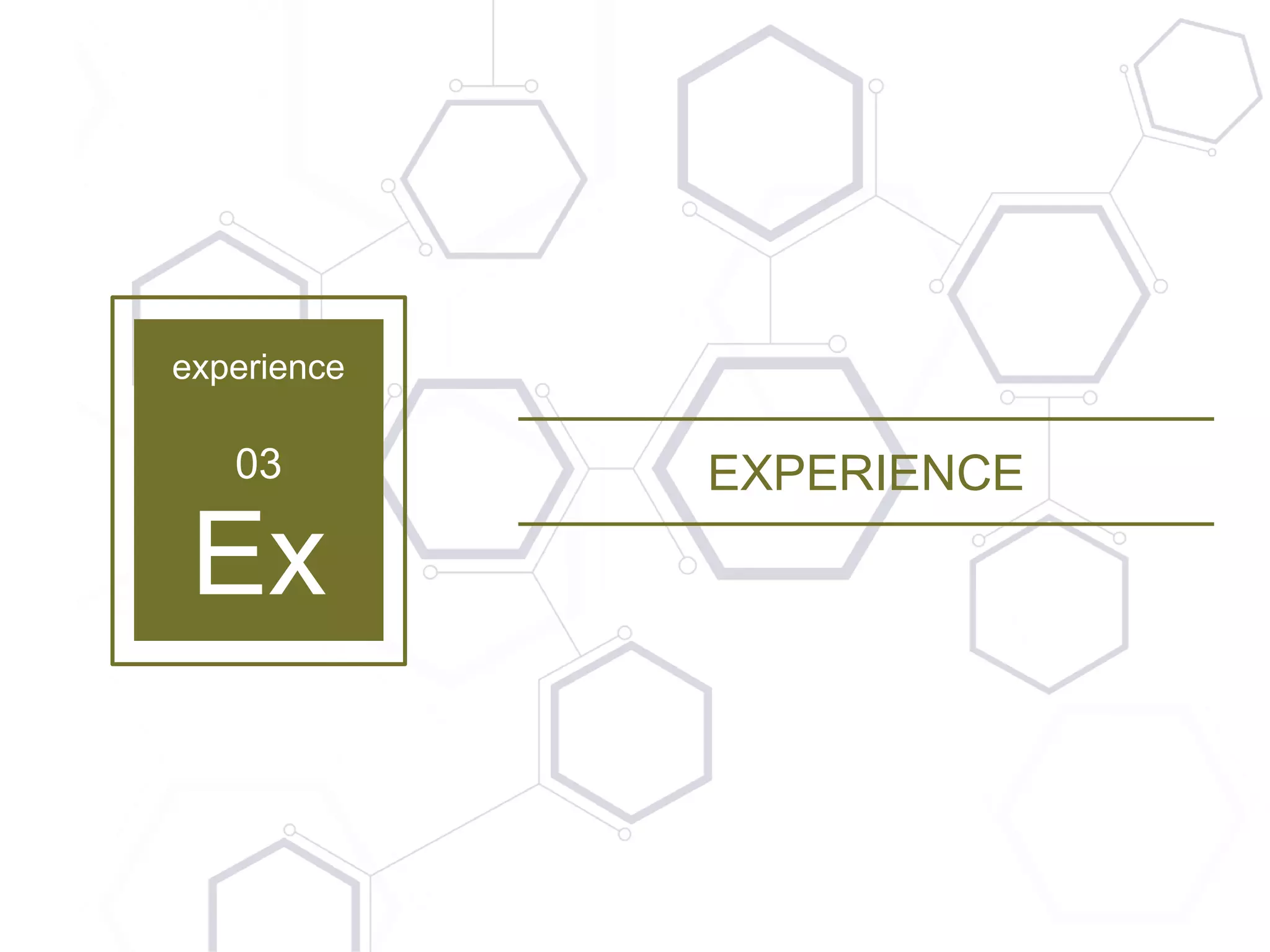 23 | Copyright © 2016 TayganPoint Consulting Group, All rights reserved.
experience
03
Ex
EXPERIENCE
 