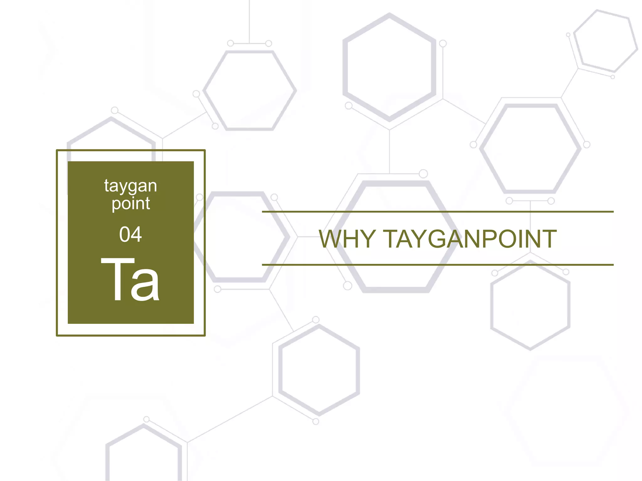 25 | Copyright © 2016 TayganPoint Consulting Group, All rights reserved.
taygan
point
04
Ta
WHY TAYGANPOINT
 