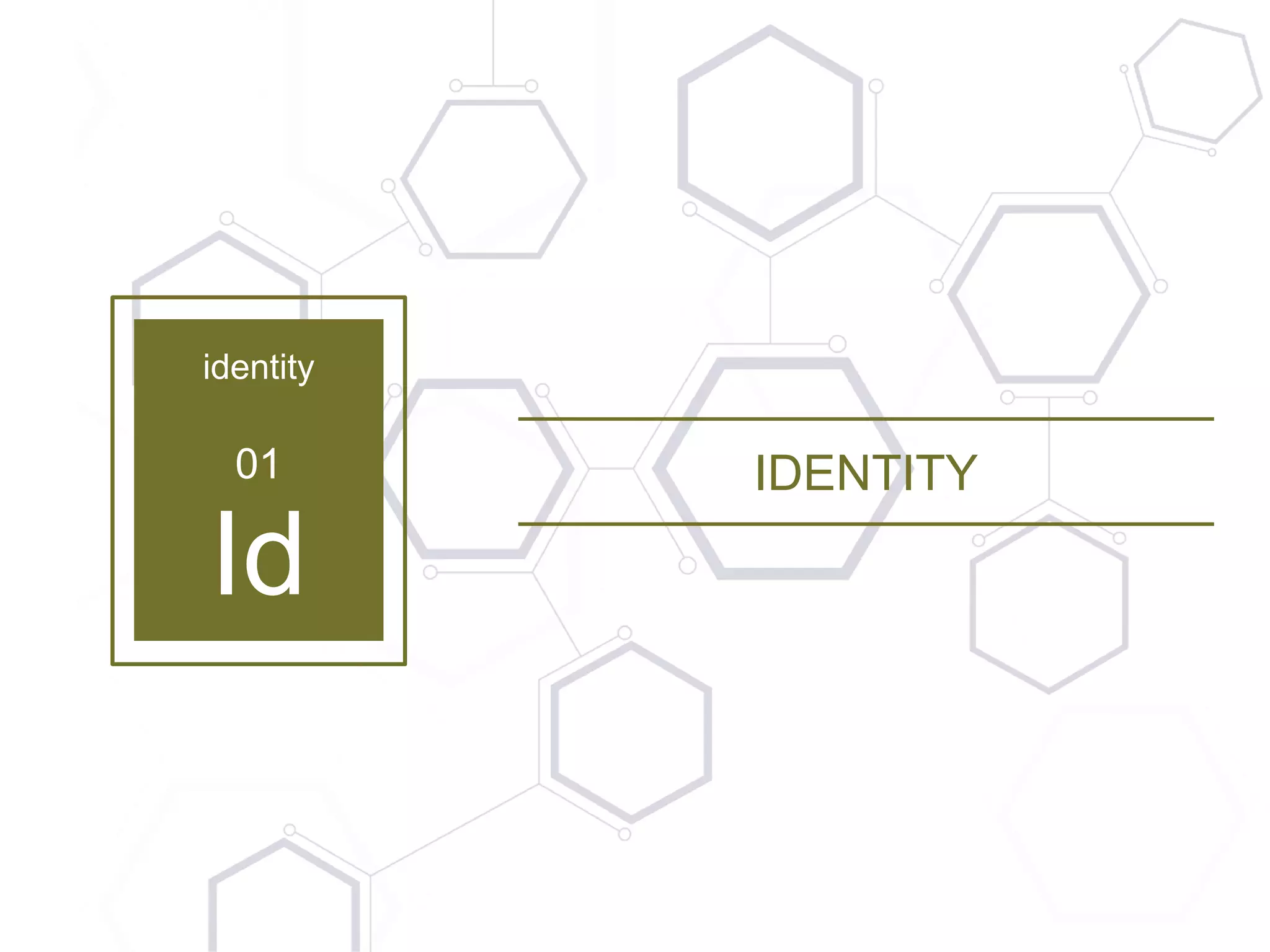 3 | Copyright © 2016 TayganPoint Consulting Group, All rights reserved.
identity
01
Id
IDENTITY
 