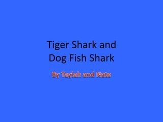 Tiger Shark and
Dog Fish Shark
 