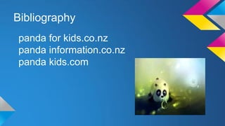 Bibliography
panda for kids.co.nz
panda information.co.nz
panda kids.com