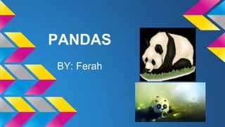PANDAS
BY: Ferah
 