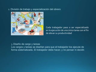 2. División de trabajo y especialización del obrero
3. Diseño de cargo y tareas
Los cargos y tareas se diseñan para que el trabajador los ejecute de
forma sistematizada. El trabajador debe hacer, y no pensar ni decidir.
Cada trabajador paso a ser especializado
en la ejecución de una única tarea con el fin
de elevar su productividad
 