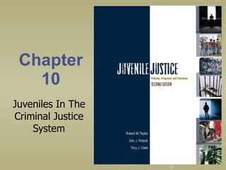 Chapter 10 Juveniles In The Criminal Justice System 