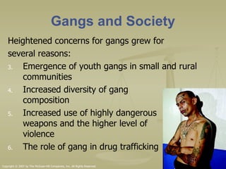 Gangs and Society Heightened concerns for gangs grew for  several reasons: Emergence of youth gangs in small and rural communities Increased diversity of gang  composition Increased use of highly dangerous  weapons and the higher level of  violence The role of gang in drug trafficking  