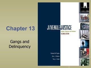 Chapter 13 Gangs and Delinquency 