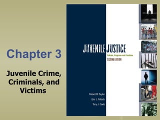 Chapter 3 Juvenile Crime, Criminals, and Victims  