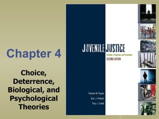 Chapter 4 Choice, Deterrence, Biological, and Psychological Theories 