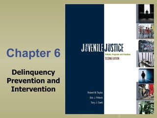 Chapter 6 Delinquency Prevention and Intervention 