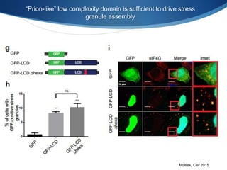 “Prion-like” low complexity domain is sufficient to drive stress
granule assembly
Molliex, Cell 2015
 