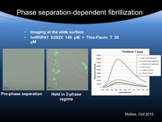 Molliex, Cell 2015
• Imaging at the slide surface
• hnRNPA1 D262V 140 μM + Thio-Flavin T 50
μM
Pre-phase separation Held in 2-phase
regime
Phase separation-dependent fibrillization
 