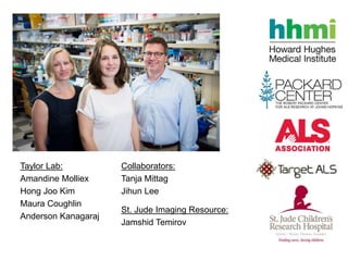 Collaborators:
Tanja Mittag
Jihun Lee
Taylor Lab:
Amandine Molliex
Hong Joo Kim
Maura Coughlin
Anderson Kanagaraj
St. Jude Imaging Resource:
Jamshid Temirov
 