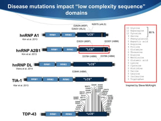 Disease mutations impact “low complexity sequence”
domains
80 %
53 Glycine
12 Asparagine
12 Tyrosine
9 Serine
7 Phenylalanine
5 Aspartic acid
4 Arginine
4 Proline
1 Glutamine
0 Threonine
0 Alanine
0 Methionine
0 Glutamic acid
0 Lysine
0 Cysteine
0 Histidine
0 Valine
0 Leucine
0 Isoleucine
0 Tryptophan
Inspired by Steve McKnight
TDP-43
hnRNP A1
D262V (fALS)
D262N (MSP)
N267S (sALS)
MS9
hnRNP A2B1
D302V (MSP)
MS9
Q335Y (hIBM)
hnRNP DL
D378N (hIBM)D378H (hIBM)
Vieira et al. 2014
TIA-1
E384K (hIBM)
Kim et al. 2013
Kim et al. 2013
Klar et al. 2013
 