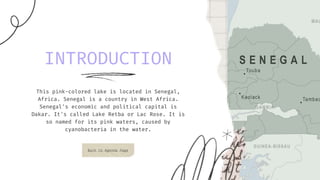 INTRODUCTION
This pink-colored lake is located in Senegal,
Africa. Senegal is a country in West Africa.
Senegal's economic and political capital is
Dakar. It's called Lake Retba or Lac Rose. It is
so named for its pink waters, caused by
cyanobacteria in the water.
Back to Agenda Page
 