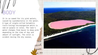 Back to Agenda Page
It is so named for its pink waters,
caused by cyanobacteria in the water.
A type of single-celled halophile
(salt-loving) microorganism which is
red or purple in color. The lake's
water changes from mauve to deep pink
depending on the time of day and
amount of sunlight. The color is
evident during the dry season.
BODY
 