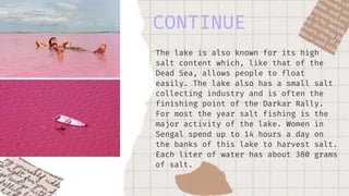 The lake is also known for its high
salt content which, like that of the
Dead Sea, allows people to float
easily. The lake also has a small salt
collecting industry and is often the
finishing point of the Darkar Rally.
For most the year salt fishing is the
major activity of the lake. Women in
Sengal spend up to 14 hours a day on
the banks of this lake to harvest salt.
Each liter of water has about 380 grams
of salt.
CONTINUE
 