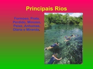 Principais Rios Formoso, Prata, Perdido, Mimoso, Peixe, Anhumas, Olaria e Miranda .