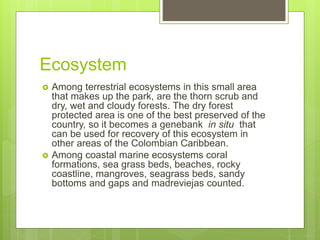 Ecosystem
 Among terrestrial ecosystems in this small area
that makes up the park, are the thorn scrub and
dry, wet and cloudy forests. The dry forest
protected area is one of the best preserved of the
country, so it becomes a genebank in situ that
can be used for recovery of this ecosystem in
other areas of the Colombian Caribbean.
 Among coastal marine ecosystems coral
formations, sea grass beds, beaches, rocky
coastline, mangroves, seagrass beds, sandy
bottoms and gaps and madreviejas counted.
 