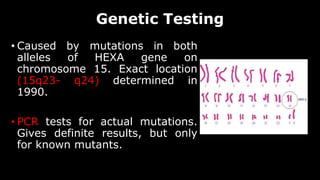Genetic Testing
• Caused by mutations in both
alleles of HEXA gene on
chromosome 15. Exact location
(15q23- q24) determined in
1990.
• PCR tests for actual mutations.
Gives definite results, but only
for known mutants.
 