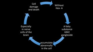 Without
Hex- A
A fatty
substance
GM2
gangloside
accumulate
abnormally
in the cell
Especially
in nerve
cells of the
brain
Cell
damage
and death
 