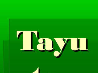 Tayu

 