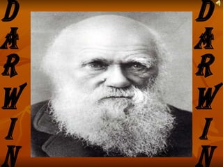 Darwin Darwin