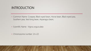 INTRODUCTION
• Common Name :Cowpea; Black-eyed bean, Horse bean, Black-eyed pea,
Southern pea, Yard long bean, Asparagus bean,
• Scientific Name : Vigna unguiculata
• Chromosome number :2n=22
 