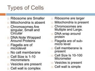 Types of Cells
 Ribosome are Smaller
 Mitochondria is absent
 Chromosomes Are
singular, Small and
Circular
 DNA Note Wrapped
Around Proteins
 Flagella are of
microlevel
 No cell memberane
 Cell Size is 1-10
micrometers
 Vesicles are present
 Cell wall is complex
 Ribosome are larger
 Mitochondria is present
 Chromosomes are
Multiple and Large.
 DNA wrap around
protein
 Flagella are of sub-
micro level
 Cell memberane is
present
 Cell Size Is 10-100
Micrometer
 Vesicles is present
 Cell wall is simple
 