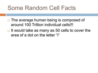 Some Random Cell Facts
 The average human being is composed of
around 100 Trillion individual cells!!!
 It would take as many as 50 cells to cover the
area of a dot on the letter “i”
 