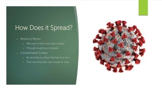 How Does it Spread?
 Person to Person
 Who are in direct and close contact
 Through coughing or sneezes
 Contaminated Surface
 By touching a surface that has virus on it
 Then touching their own mouth or nose
 