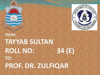 FROM:
TAYYAB SULTAN
ROLL NO: 34 (E)
TO:
PROF. DR. ZULFIQAR
 