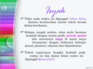 Isyak
Tidur pada waktu ini dipanggil tidur delta
   dimana keseluruhan sistem tubuh berada
dalam kerehatan.

Selepas tengah malam, alam mula bersinar
 kembali dengan warna putih, merah jambu
     dan seterusnya ungu di mana ianya
     bersamaan dengan frekuensi kelenjar
pineal, pituitari, talamus dan hipotalamus.

Tubuh sepatutnya bangkit kembali pada
   waktu ini dan dalam Islam waktu ini
dipanggil Qiamullail.
 