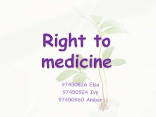 Right to medicine 97450826Elsa 97450924Ivy 97450960Amber 