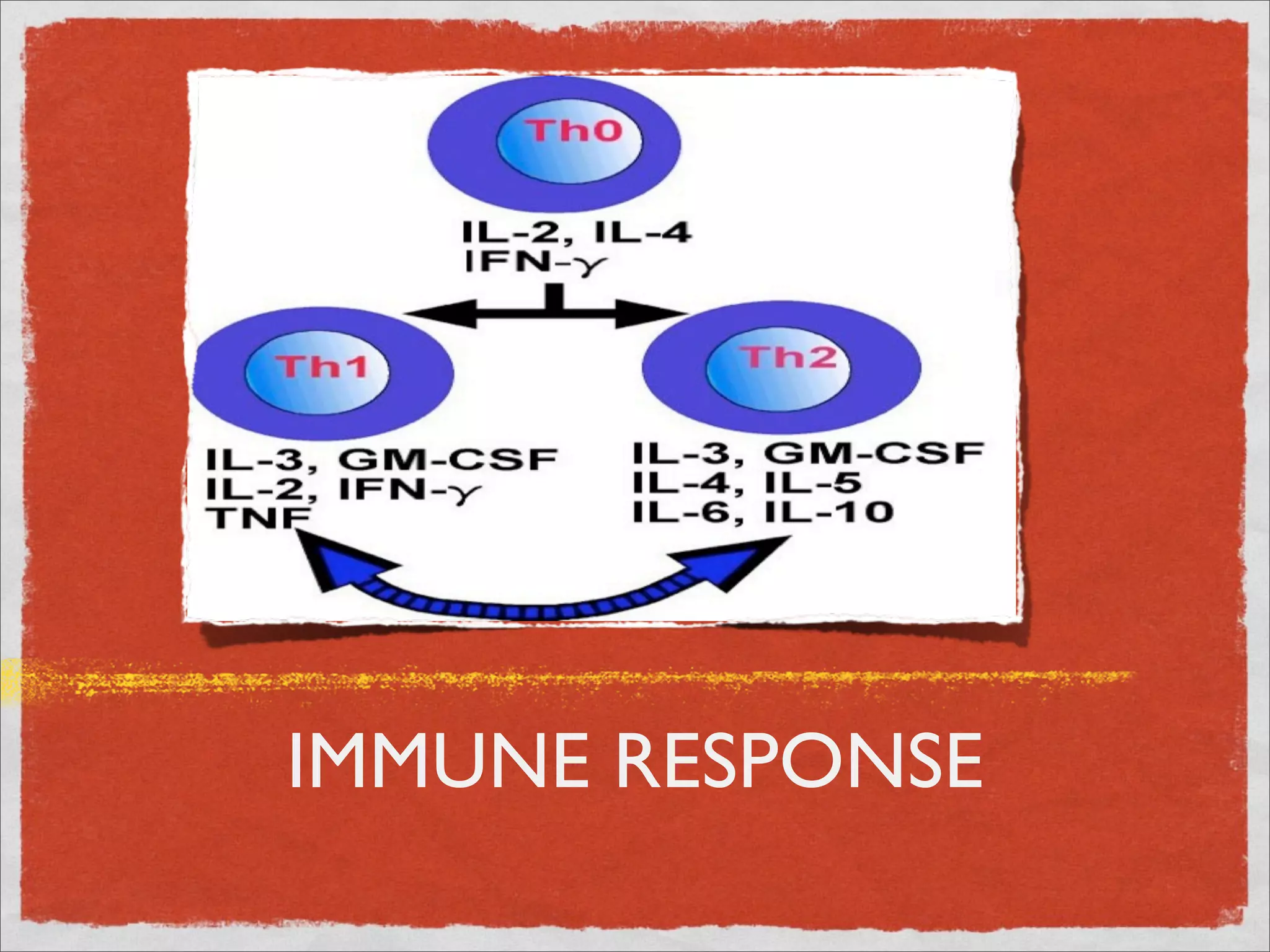 IMMUNE RESPONSE
 
