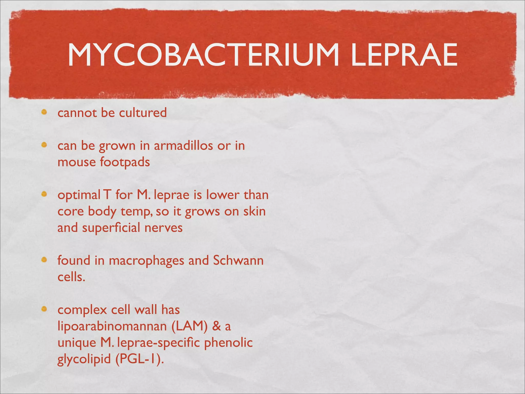MYCOBACTERIUM LEPRAE
cannot be cultured

can be grown in armadillos or in
mouse footpads

optimal T for M. leprae is lower than
core body temp, so it grows on skin
and superﬁcial nerves

found in macrophages and Schwann
cells.

complex cell wall has
lipoarabinomannan (LAM) & a
unique M. leprae-speciﬁc phenolic
glycolipid (PGL-1).
 